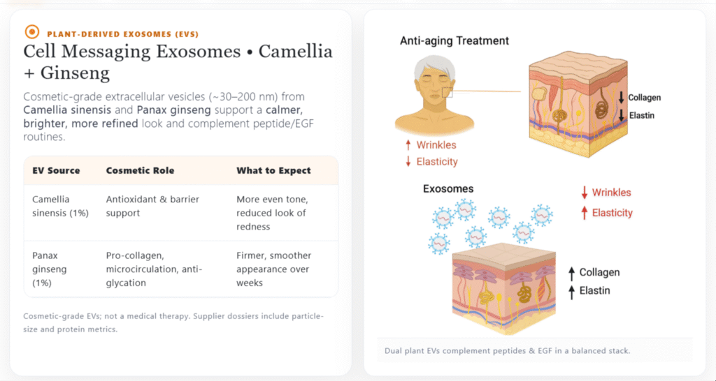 Cell Messaging Exosomes Graphic