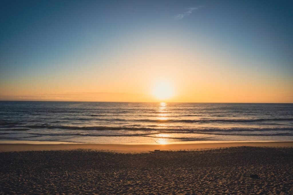 pexels ertabbt 150087708 16832022