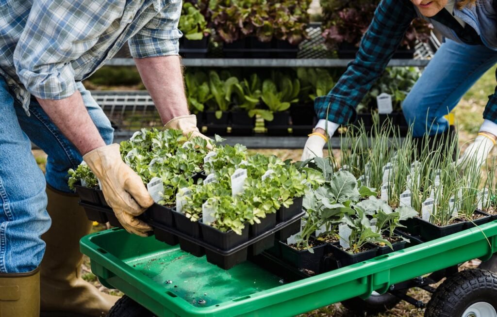 How to Save $3000+ Per Year Growing Food in 100 Square Feet: Container Gardening, and Smart Garden Ideas 10 pexels greta hoffman 7728347