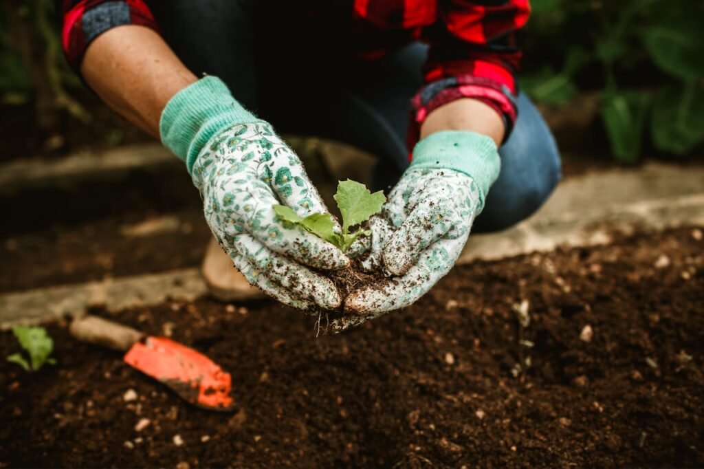 How to Save $3000+ Per Year Growing Food in 100 Square Feet: Container Gardening, and Smart Garden Ideas 5 pexels helenalopes 27176067