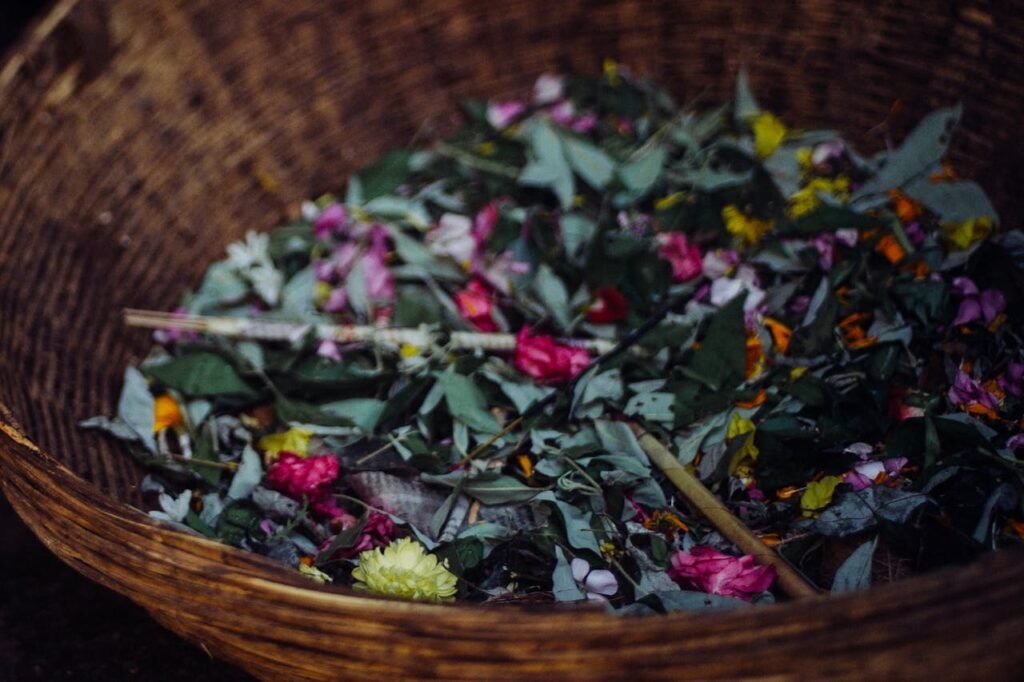 pexels plato terentev 3804555 5909653