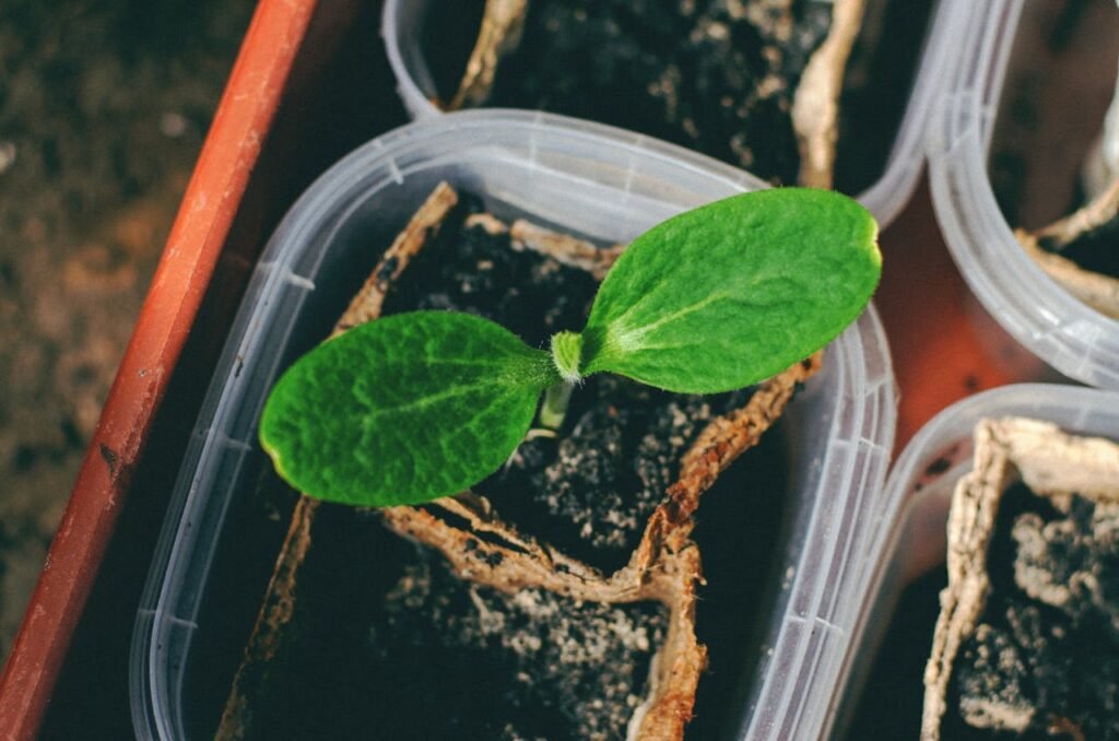 Container Gardening for Beginners: Grow Food on Any Balcony or Patio 3 pexels tamara elnova 218645958 12116550